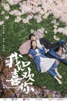 《我只喜欢你》电视剧国语在线高清免费全集观看