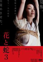 《花青歌》电视剧全集高清免费在线观看