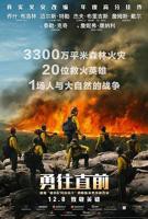 《勇往直前》电影完整版免费在线观看_高清播放