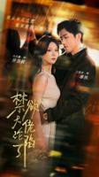 禁欲大佬沦陷了高清在线观看04集高清版